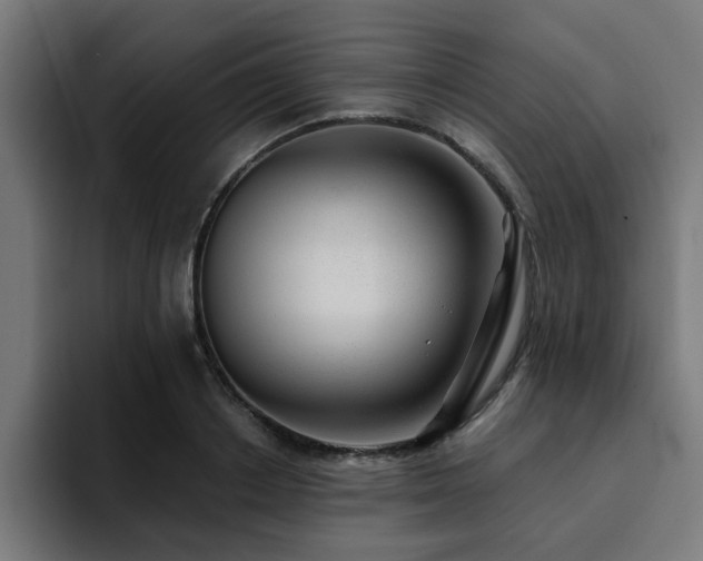 X0000094460842200711081324