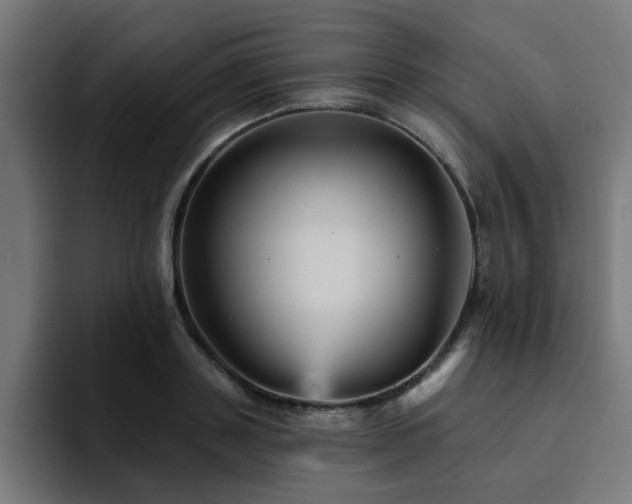 X0000094460843200711081324