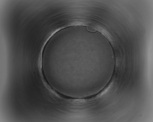 X0000094460844200711081324