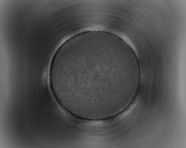 X0000094460845200711081324