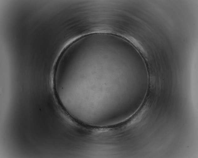 X0000094460846200711081324