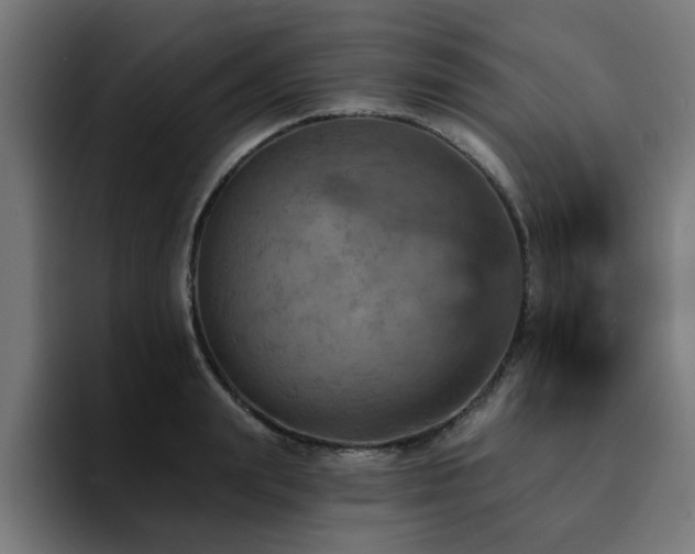 X0000094460847200711081324