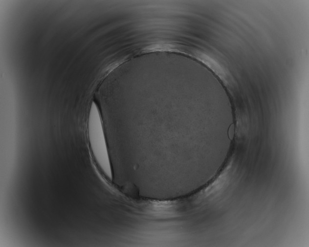 X0000094460849200711081324