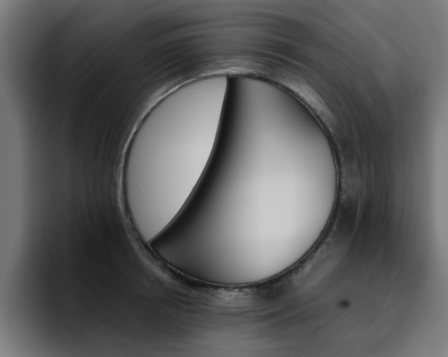 X0000094460850200711081324