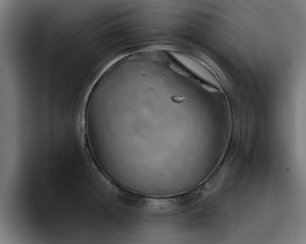 X0000094460852200711081324