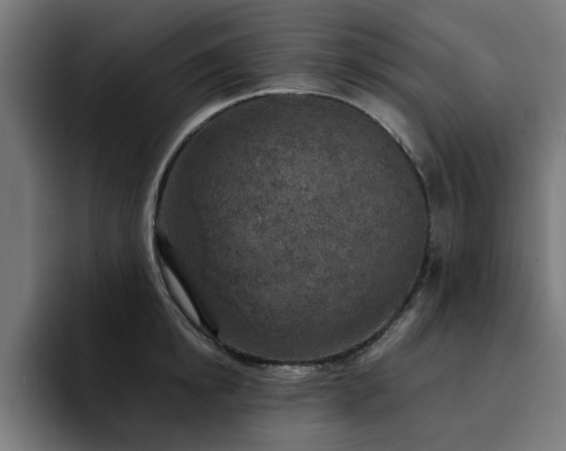 X0000094460854200711081324