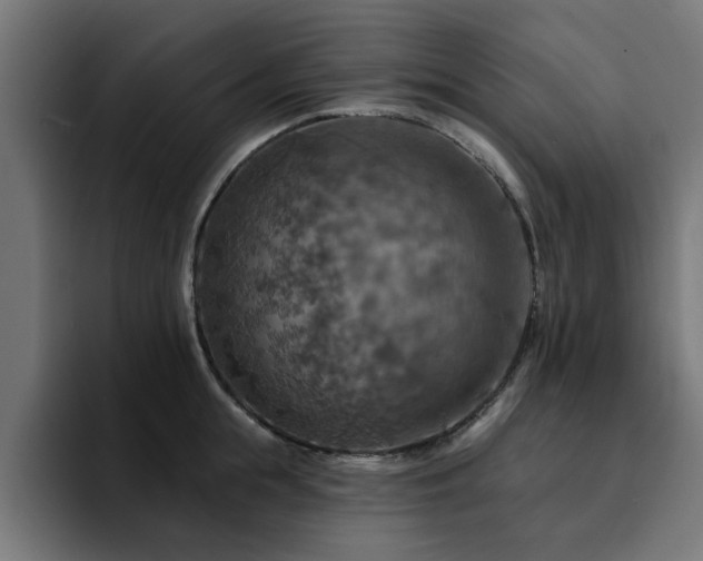 X0000094460855200711081324