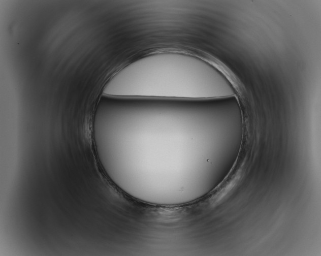 X0000094460857200711081324