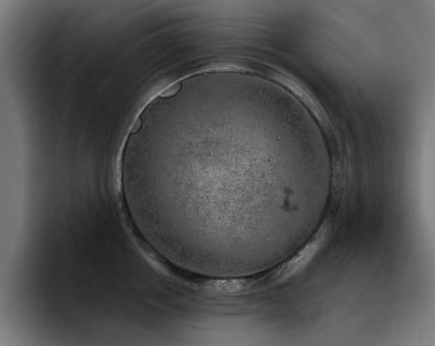 X0000094460858200711081324