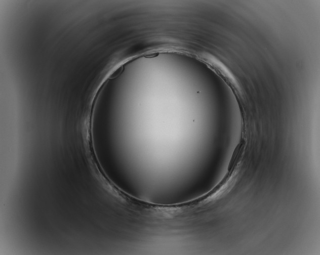 X0000094460860200711081324