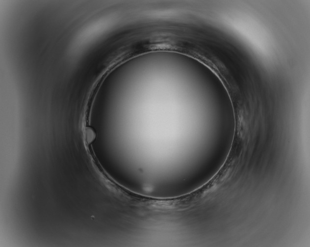 X0000094460861200711081324
