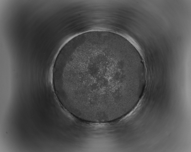X0000094460862200711081324