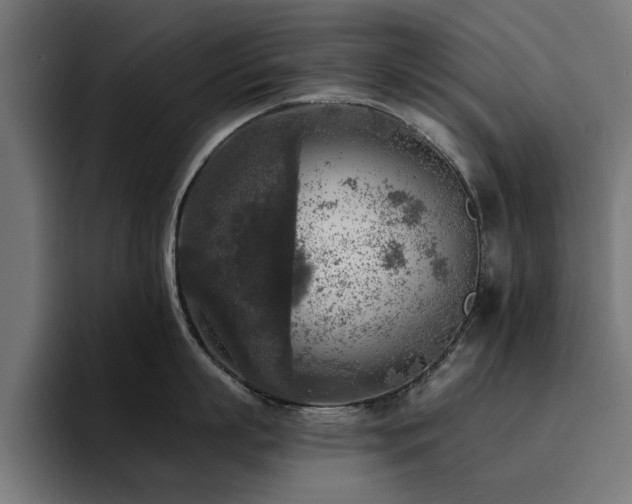 X0000094460863200711081324