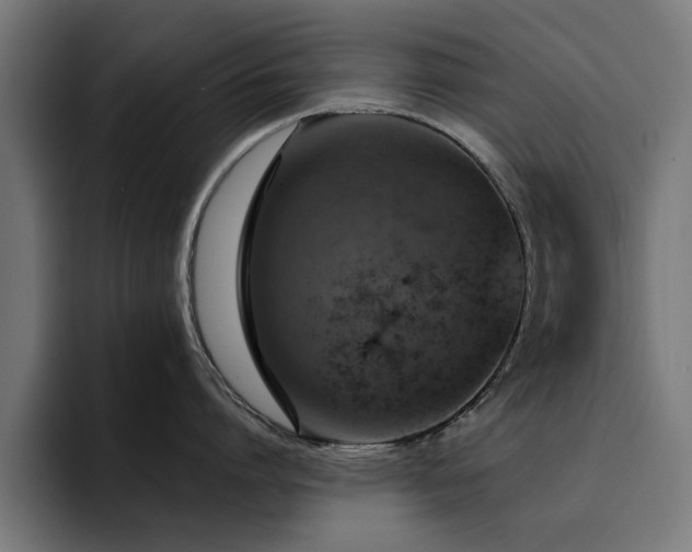 X0000094460864200711081324