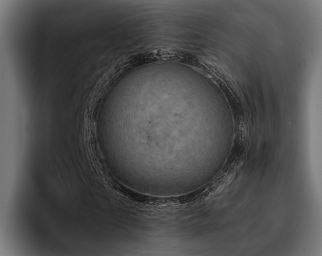 X0000094460865200711081323