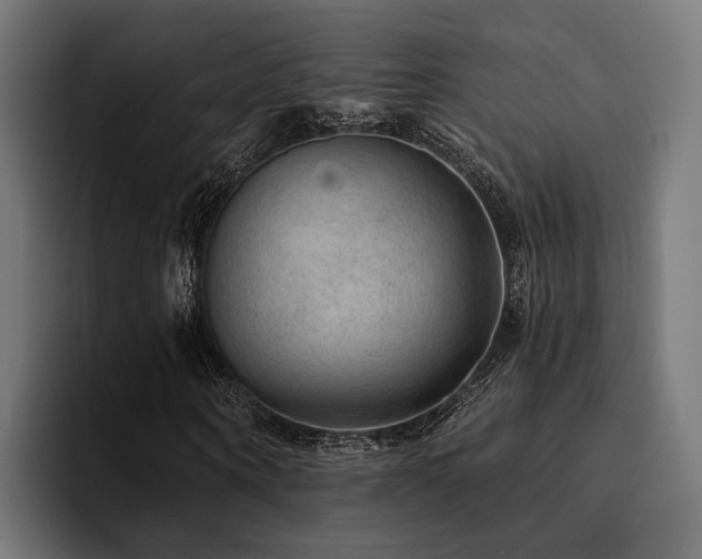 X0000094460866200711081323