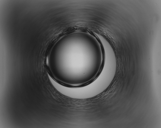 X0000094460868200711081323