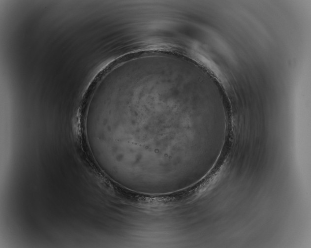 X0000094460875200711081323