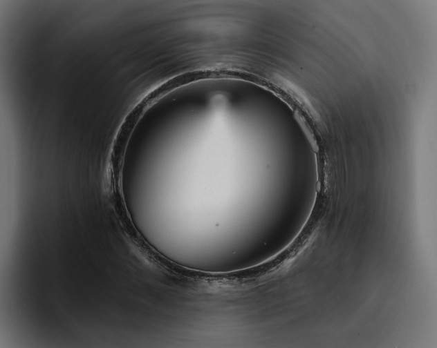 X0000094460876200711081323