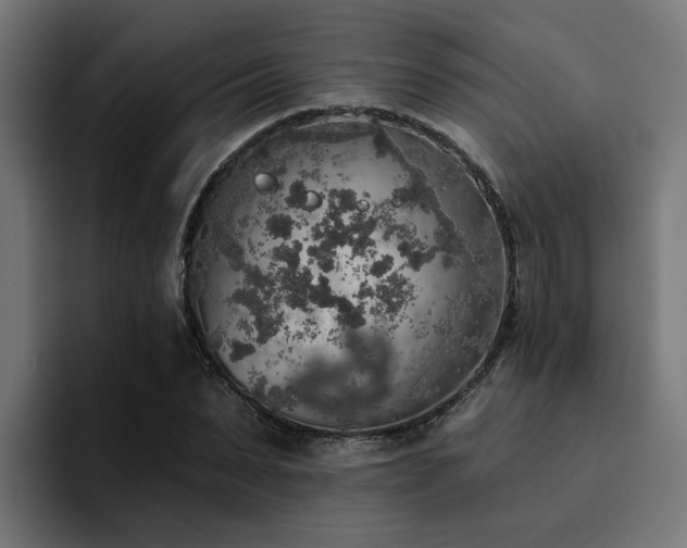 X0000094460879200711081323