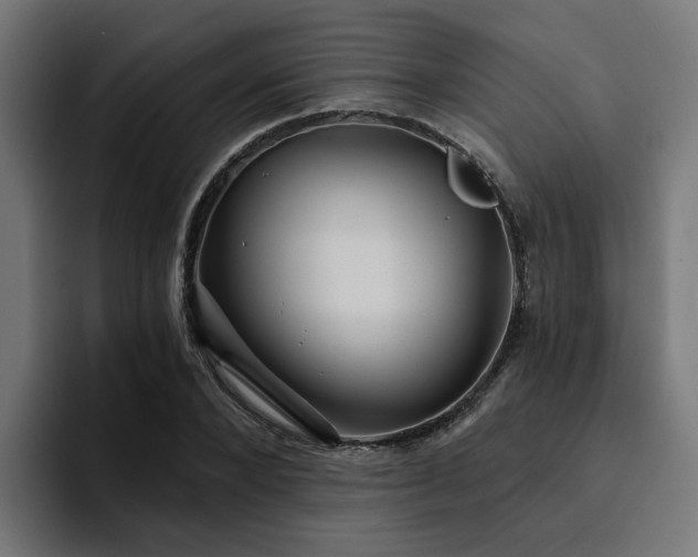 X0000094460880200711081323