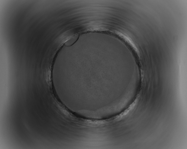 X0000094460881200711081323