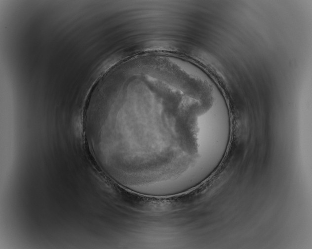 X0000094460882200711081323