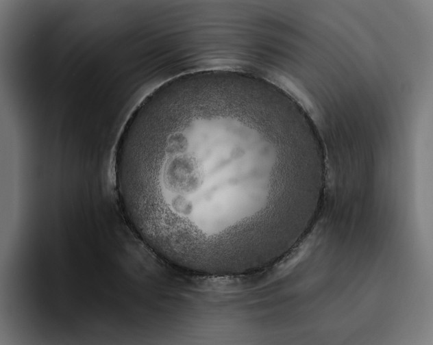 X0000094460883200711081323