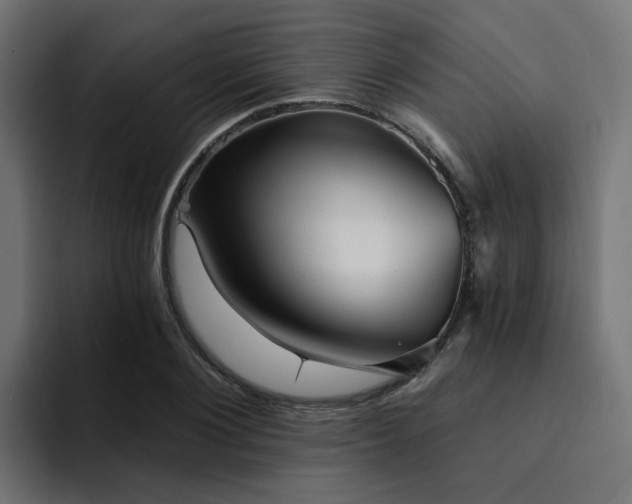 X0000094460884200711081323