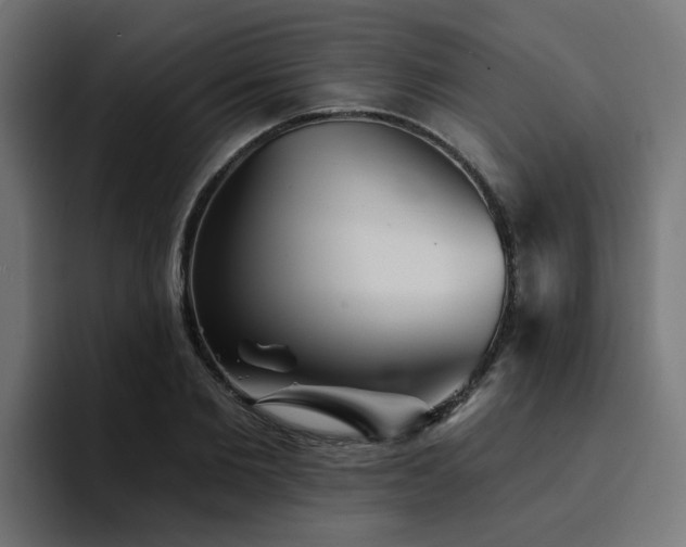 X0000094460885200711081323