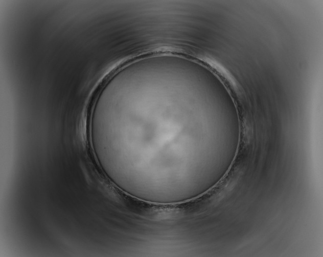 X0000094460886200711081323