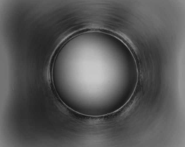 X0000094460887200711081323