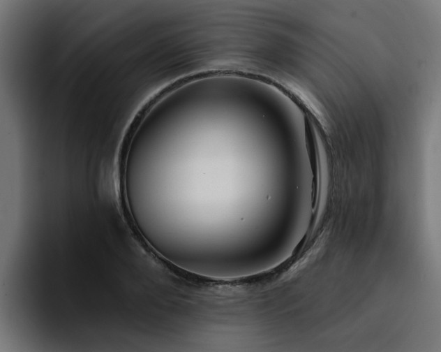 X0000094460888200711081323