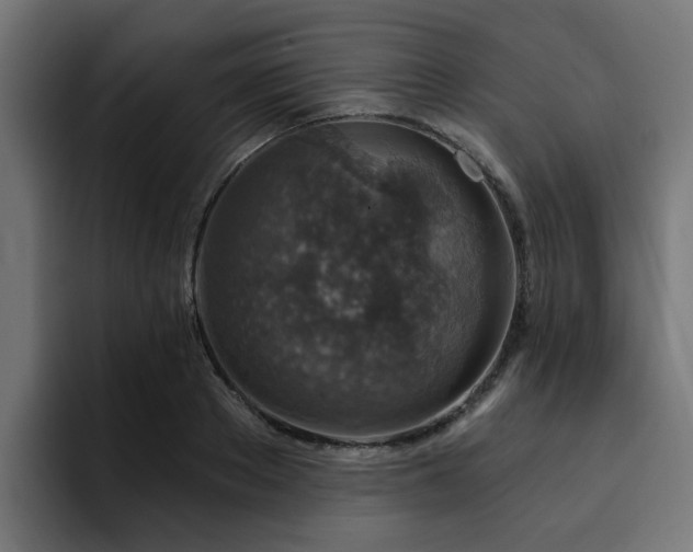 X0000094460889200711081323
