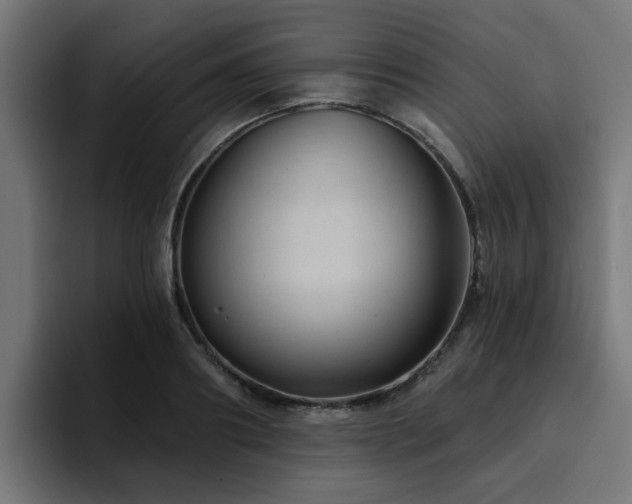 X0000094460890200711081323