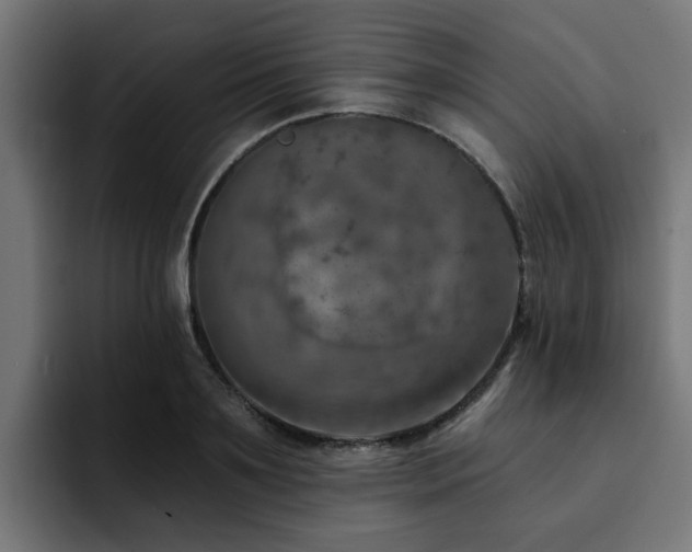X0000094460891200711081323