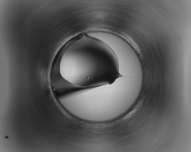 X0000094460893200711081323