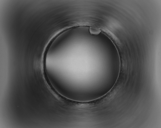 X0000094460894200711081323