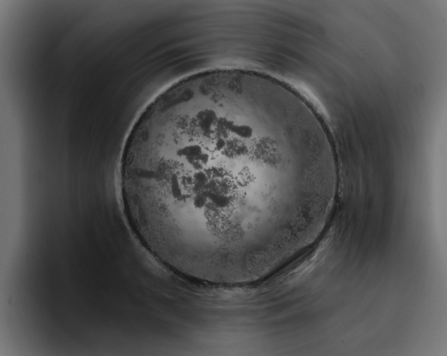 X0000094460895200711081323