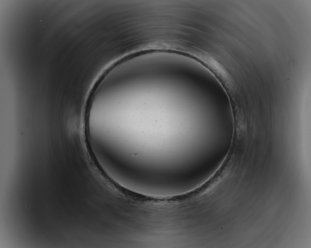 X0000094460896200711081323