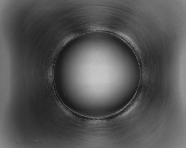 X0000094460897200711081323