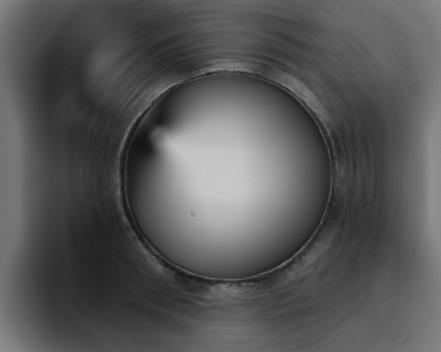 X0000094460898200711081323