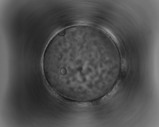 X0000094460899200711081323