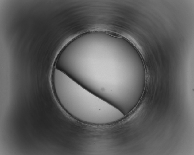 X0000094460901200711081323