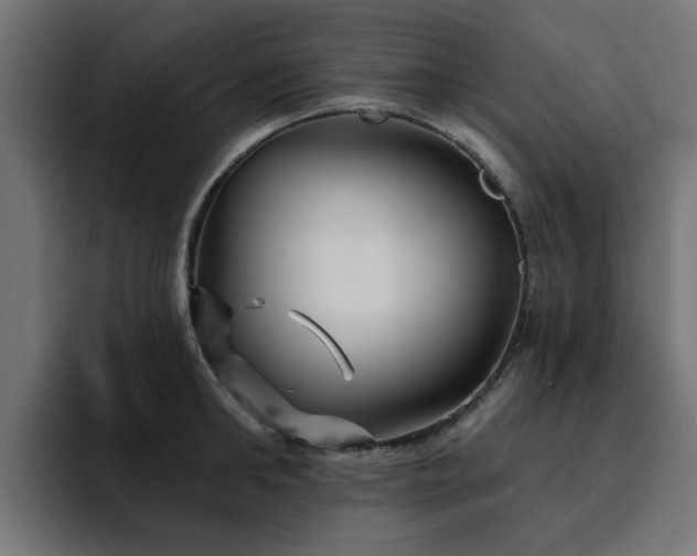 X0000094460902200711081323
