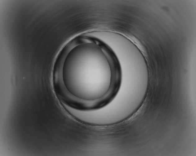 X0000094460904200711081323