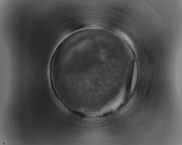 X0000094460907200711081323
