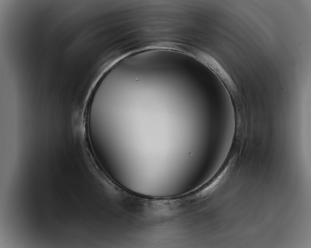 X0000094460908200711081323