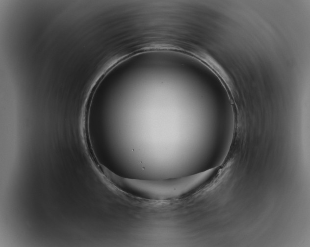 X0000094460909200711081323