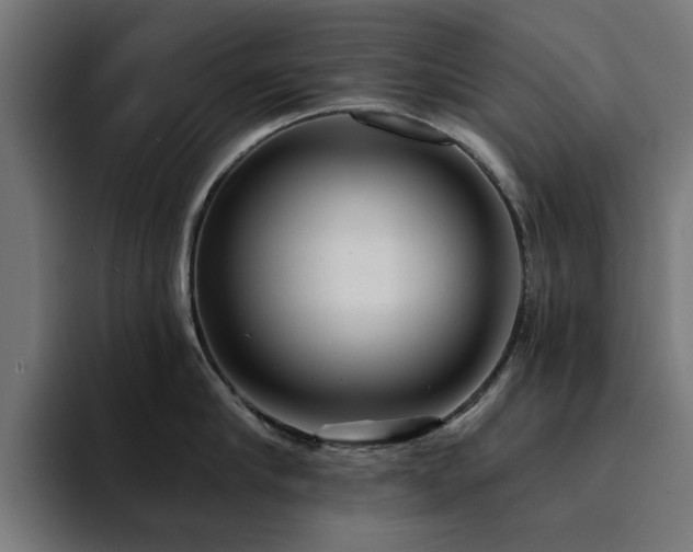 X0000094460910200711081323